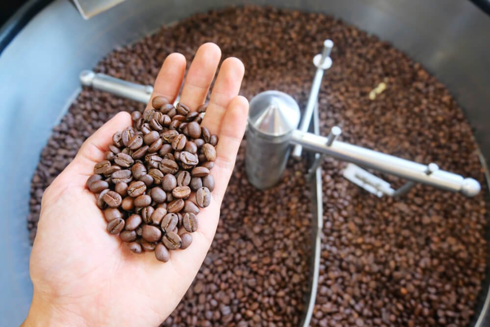 Robusta Green Beans Coffee